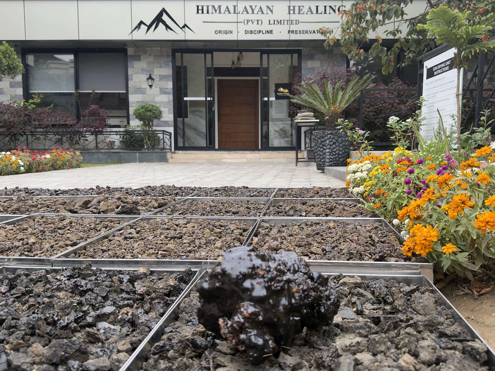 Himalayan Healing manufacturing facility in Abbottabad with raw shilajit on sun-drying trays