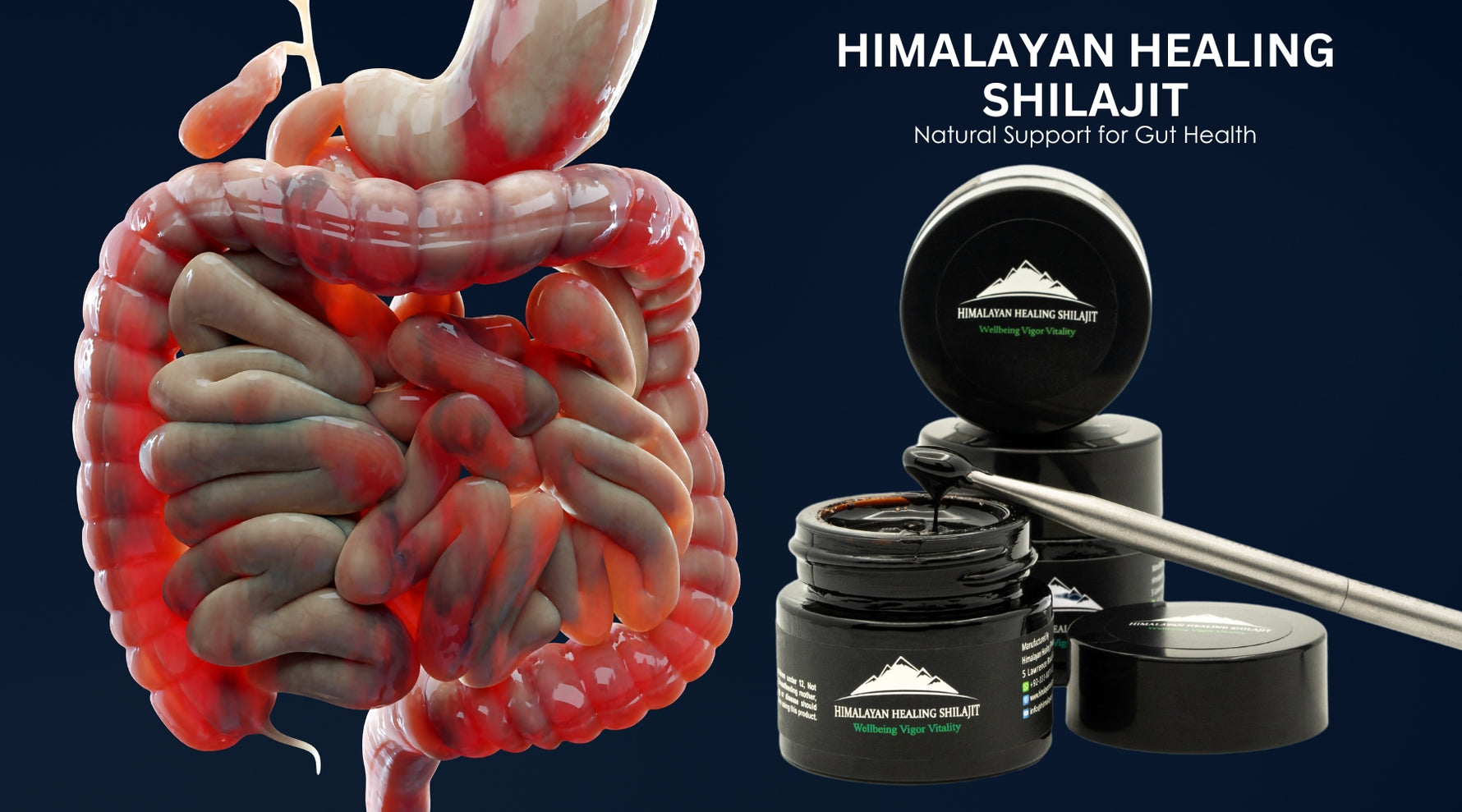 Unlocking Gut Wellness with Shilajit: The Himalayan Powerhouse