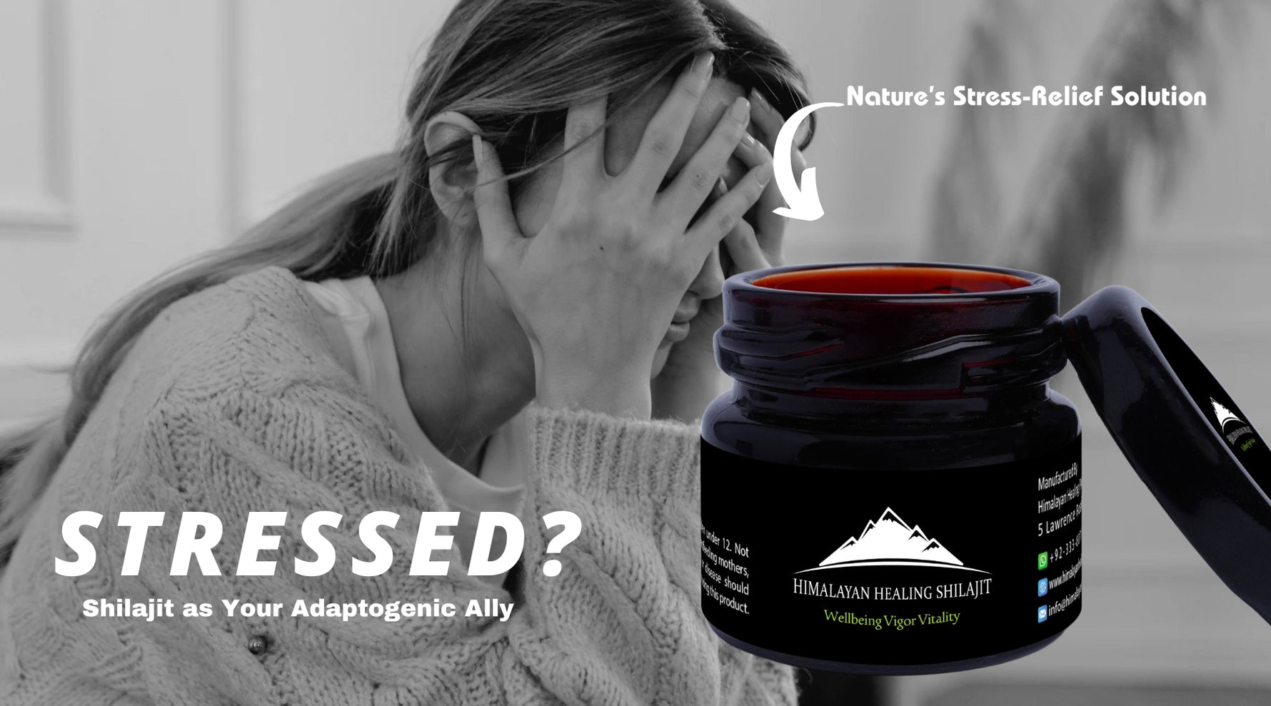 Stress Less: Shilajit as Your Adaptogenic Ally