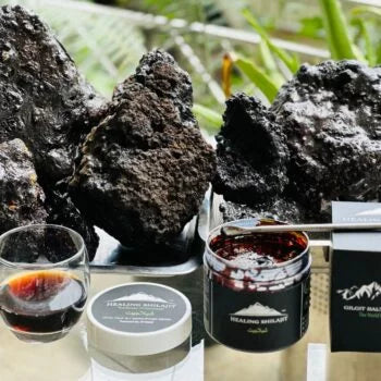 Surprising Facts About Himalayan Healing Shilajit