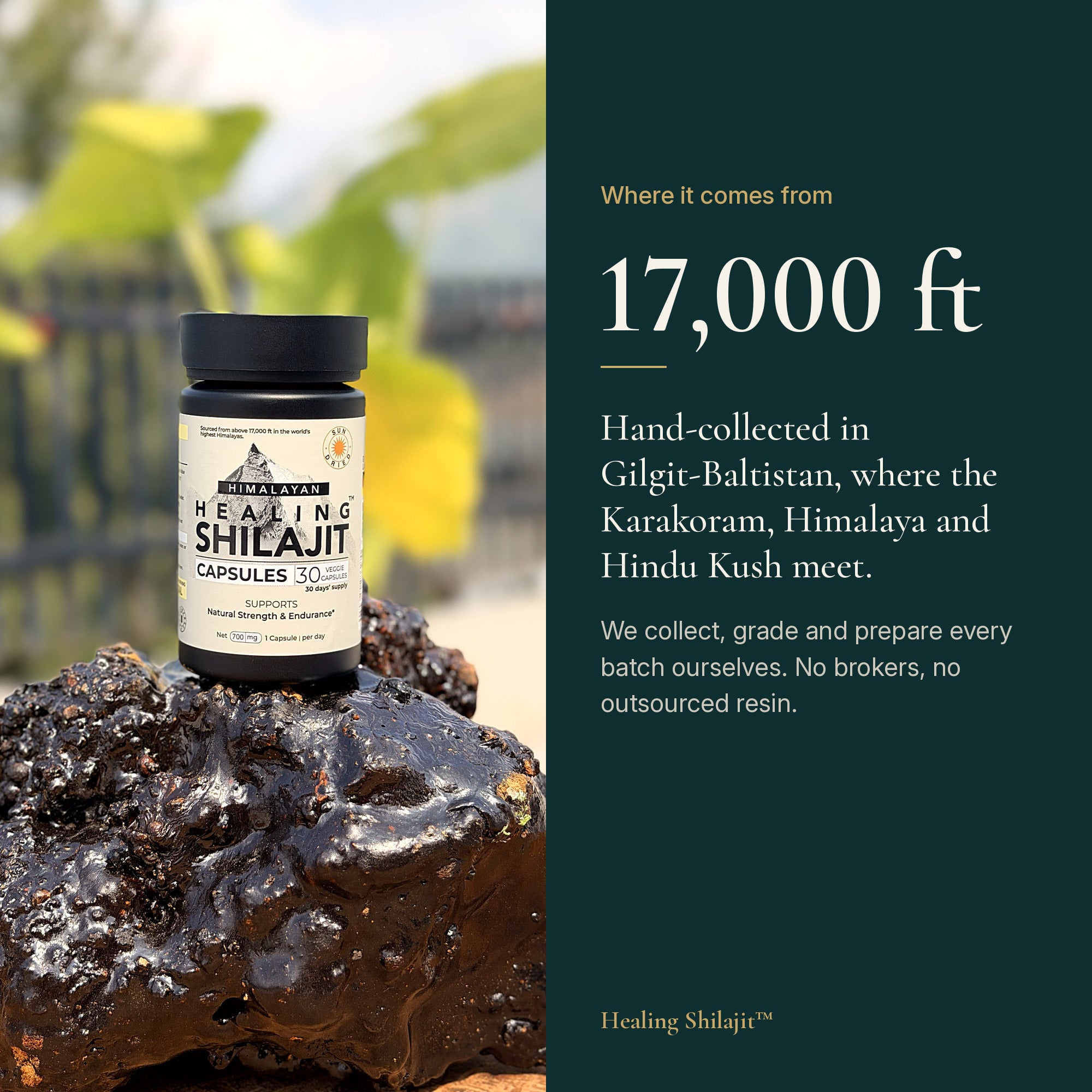 Sun-Dried Himalayan Shilajit Powder Capsules — 700 mg, 30 Veggie Capsules