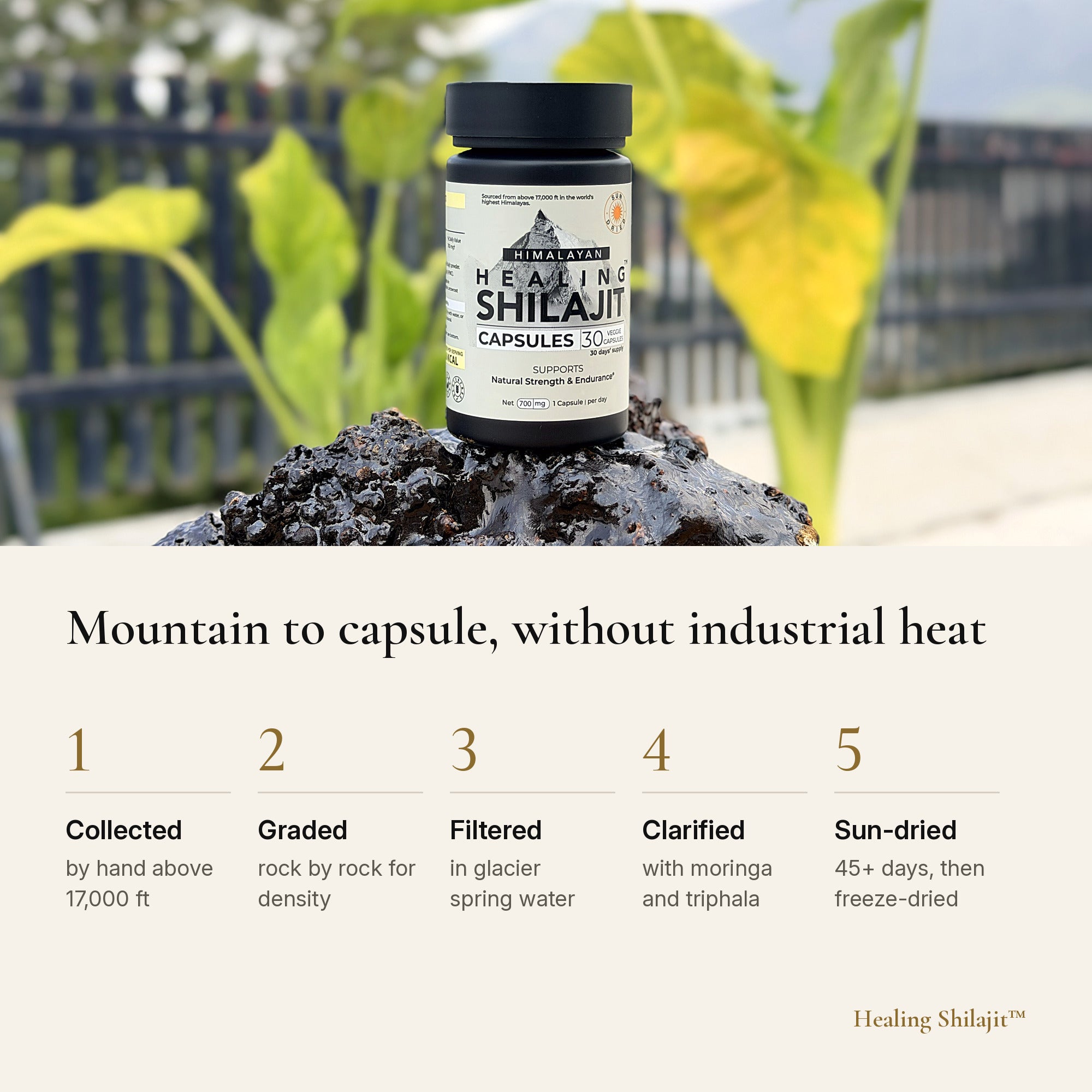 Sun-Dried Himalayan Shilajit Powder Capsules — 700 mg, 30 Veggie Capsules