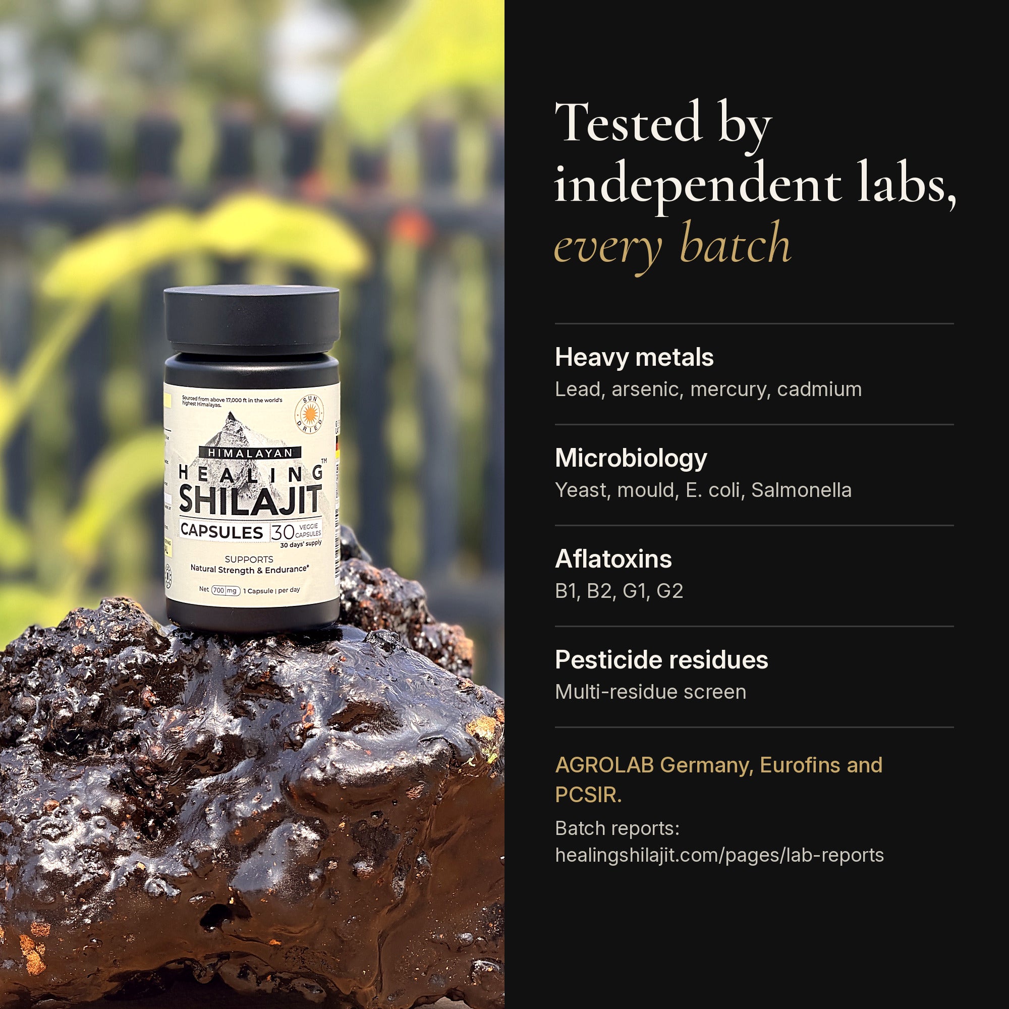Sun-Dried Himalayan Shilajit Powder Capsules — 700 mg, 30 Veggie Capsules