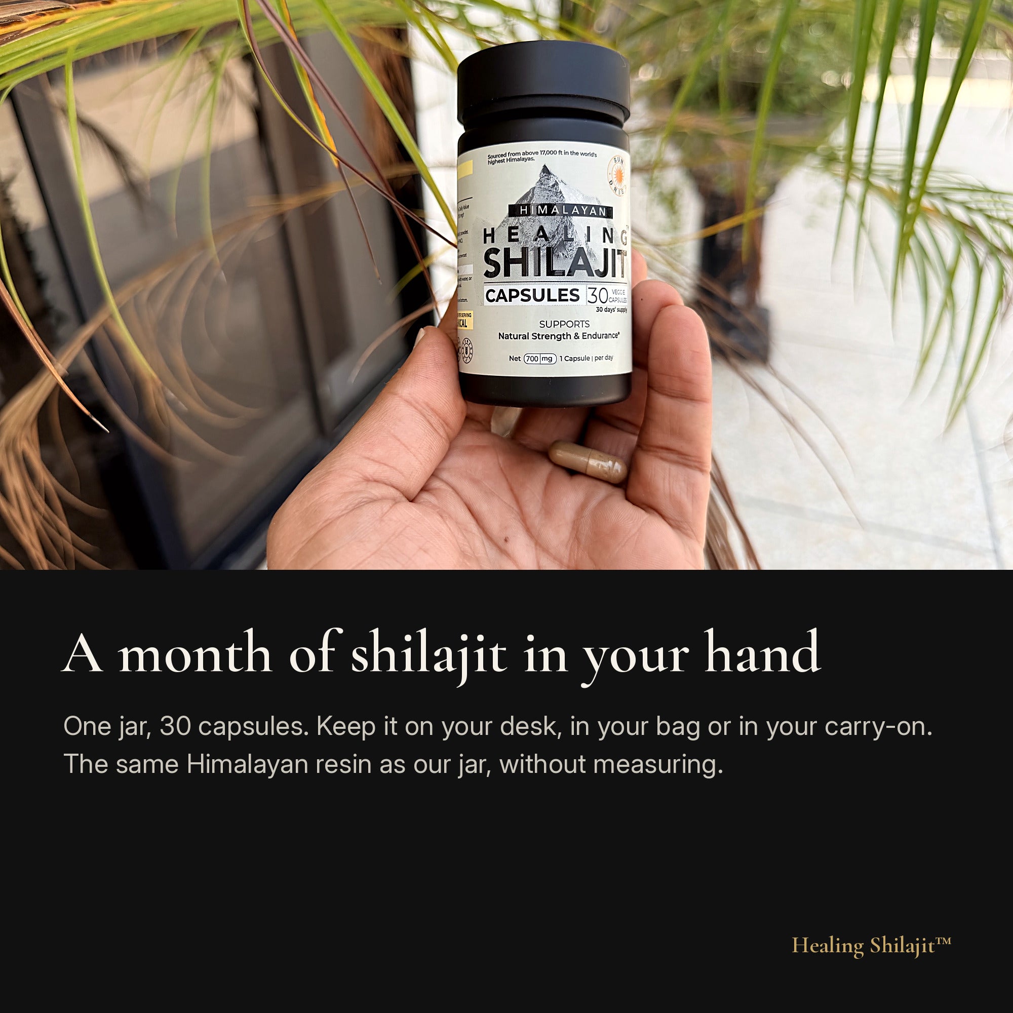 Sun-Dried Himalayan Shilajit Powder Capsules — 700 mg, 30 Veggie Capsules