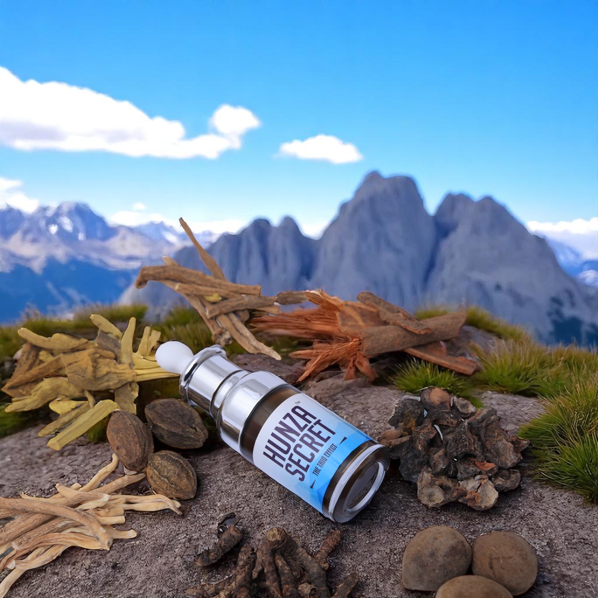 Hunza Complex Hunza Secret | Multi Natural Minerals Complex – Himalayan Healing Shilajit