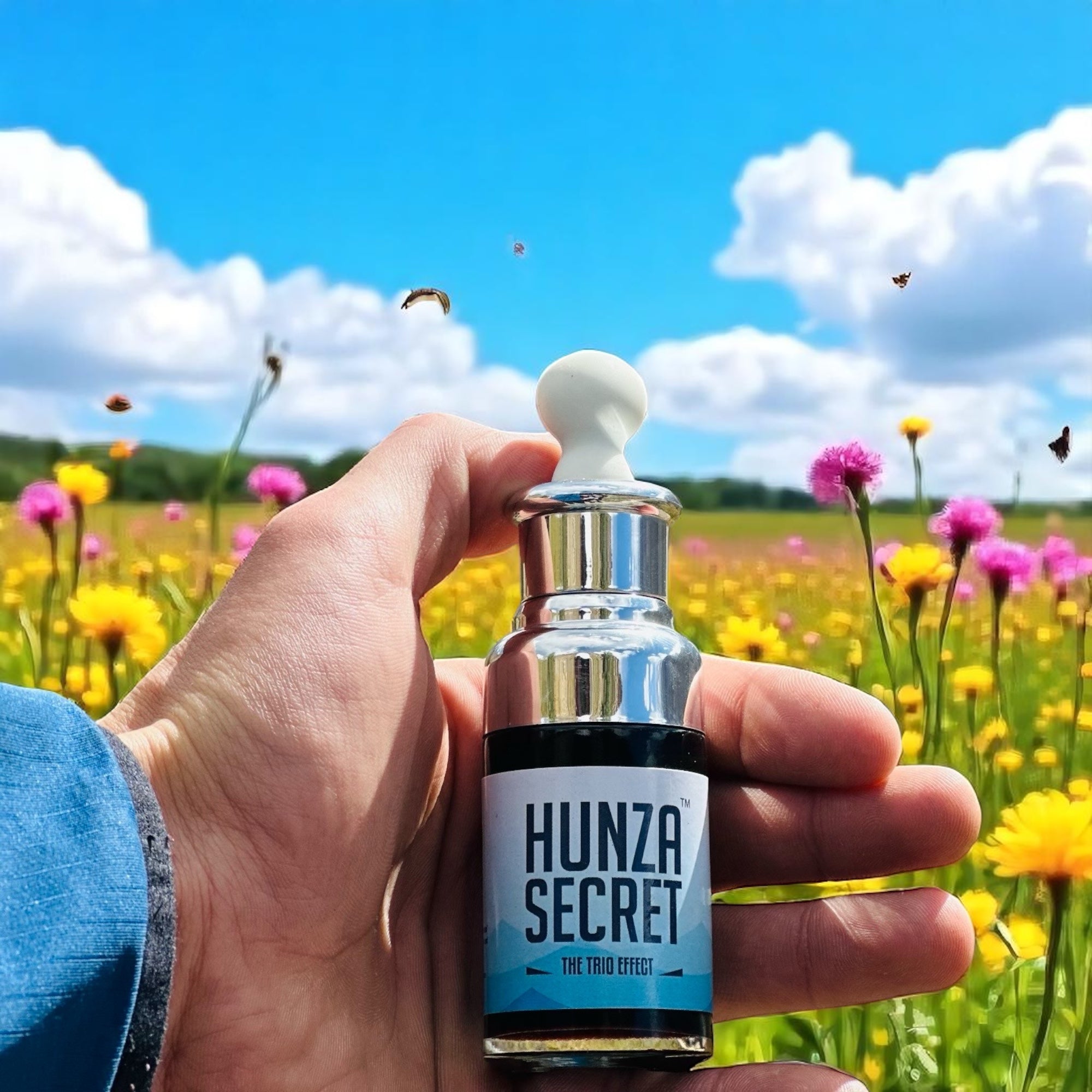 Hunza Complex Hunza Secret | Multi Natural Minerals Complex – Himalayan Healing Shilajit