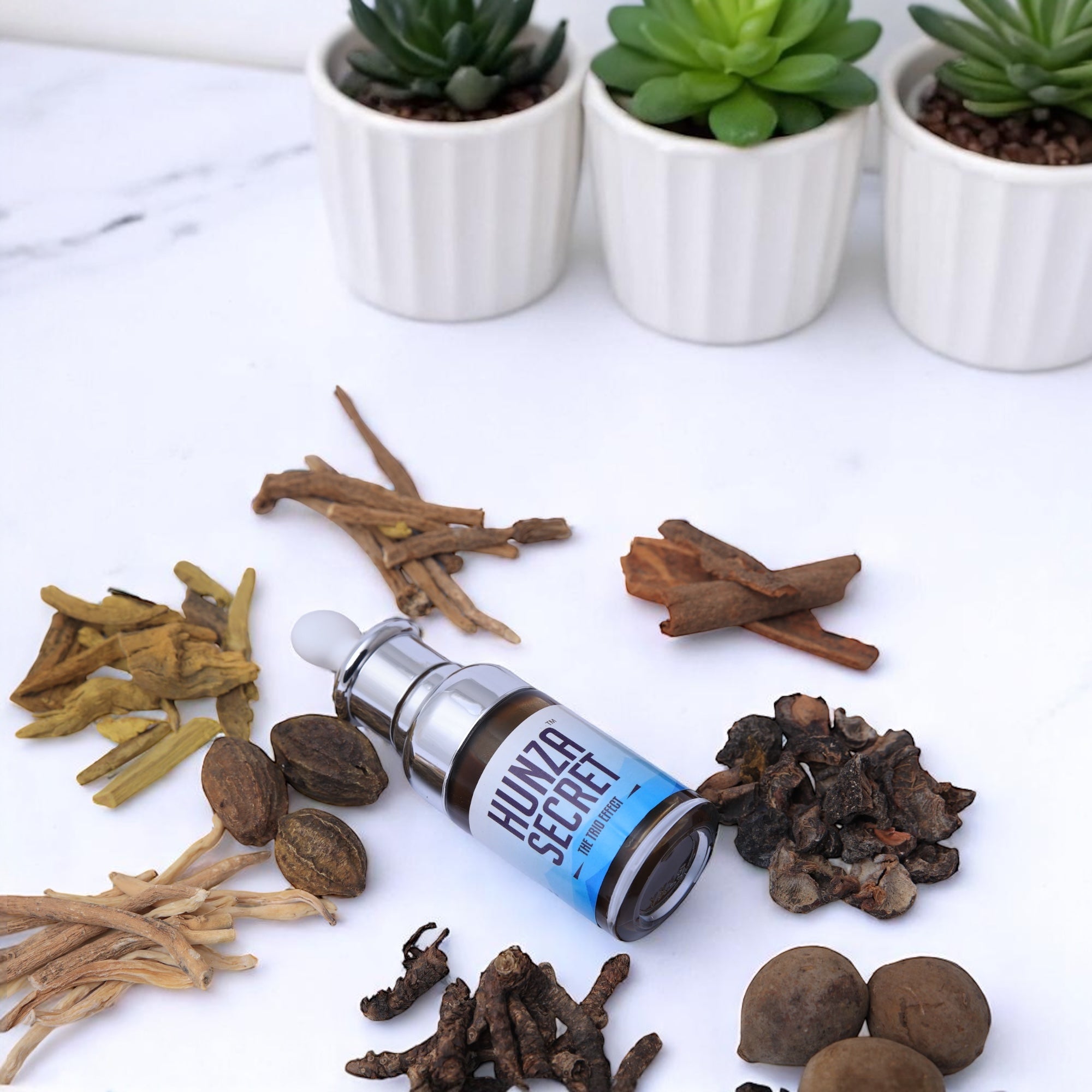 Hunza Complex Hunza Secret | Multi Natural Minerals Complex – Himalayan Healing Shilajit