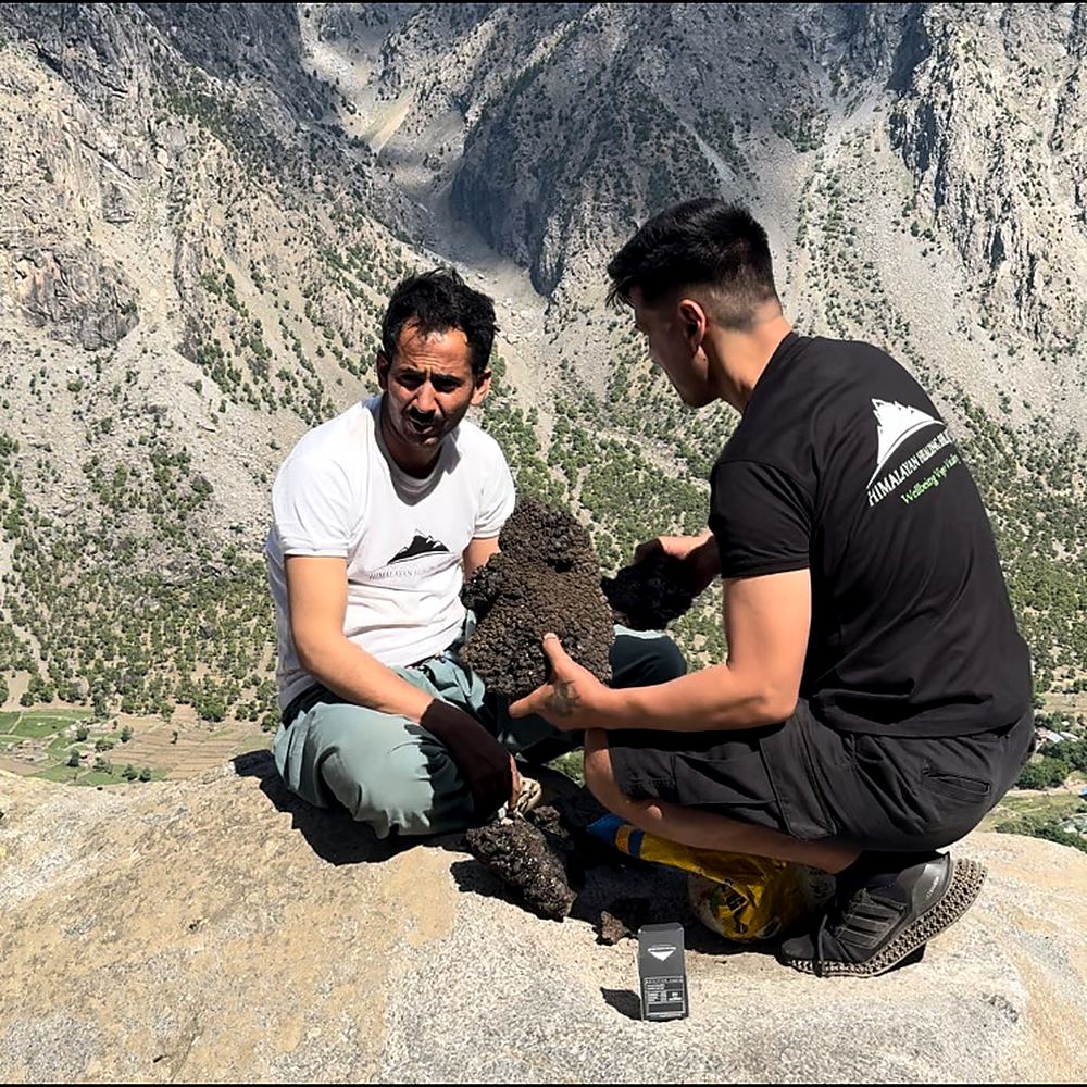 Shilajit – Buy Pure Himalayan Resin