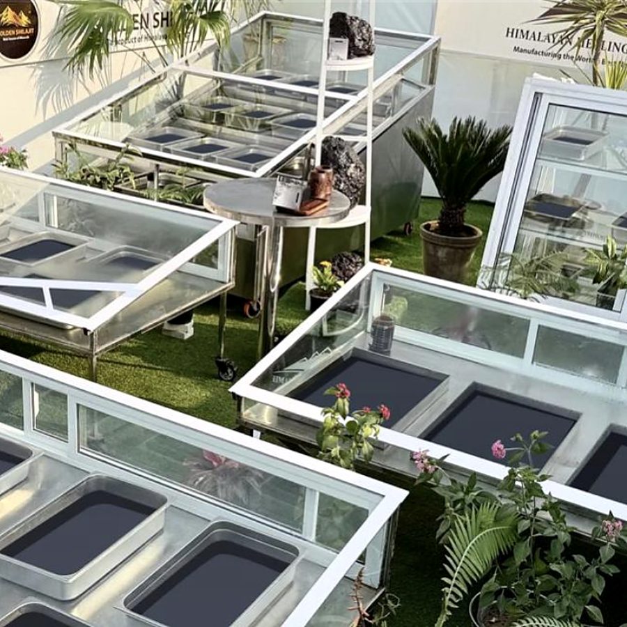Glass sun-drying deck with trays of shilajit resin