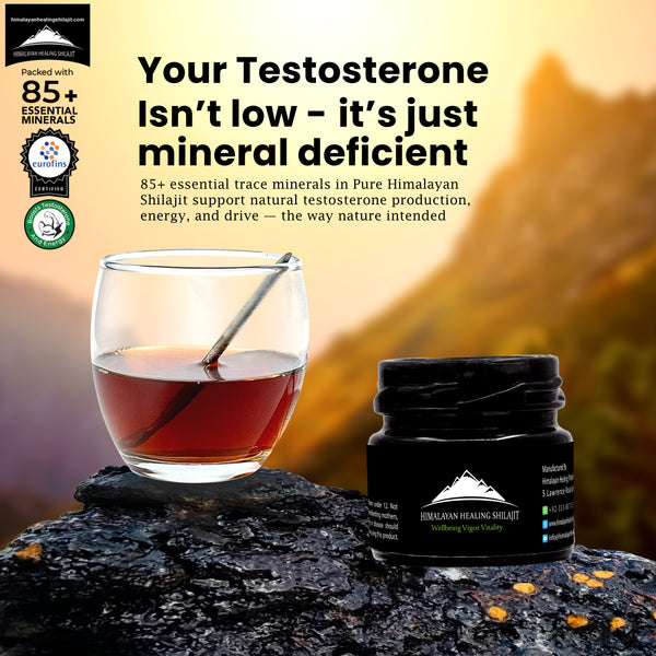 Support Testosterone Naturally with Himalayan Shilajit